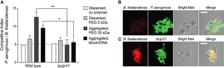 Figure 6