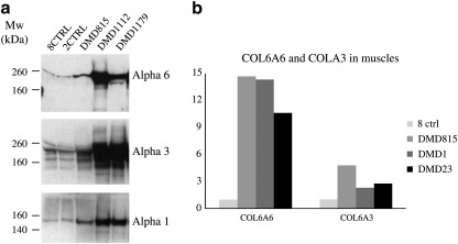 Fig. 6