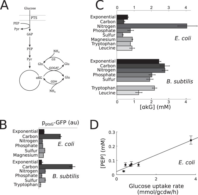 FIG 4