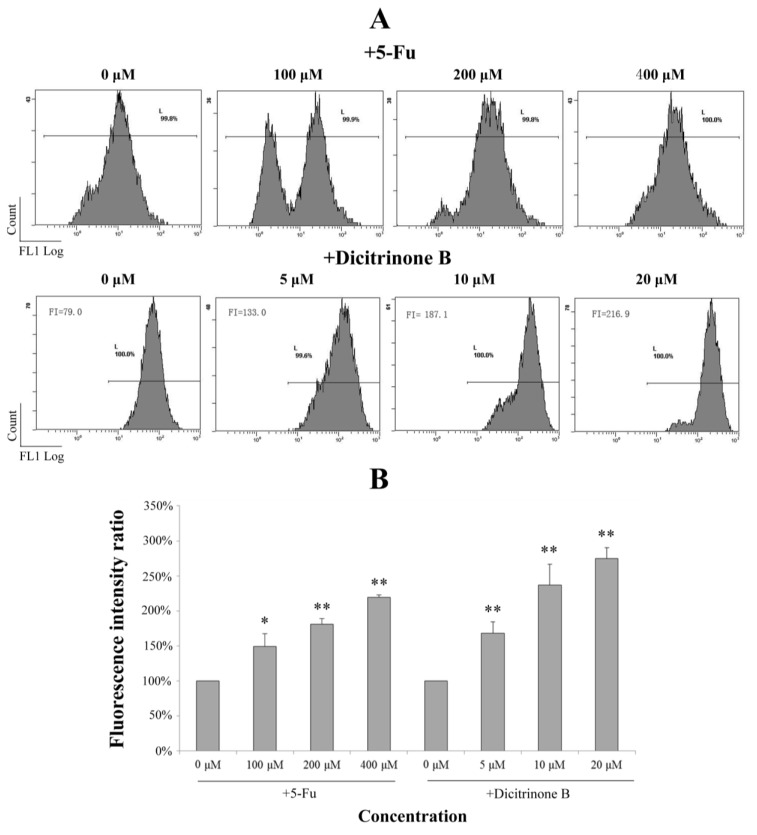 Figure 5