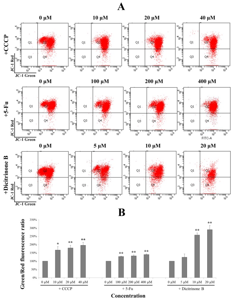 Figure 6