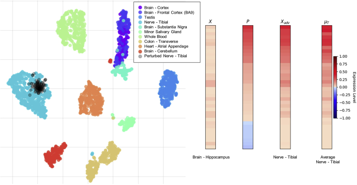 Figure 1