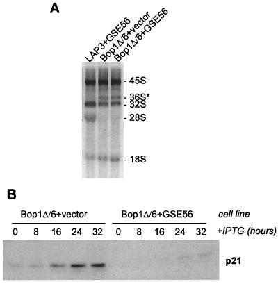 FIG. 8