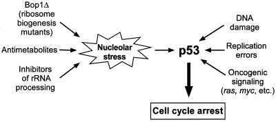 FIG. 9