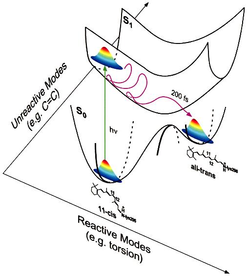 FIGURE 3