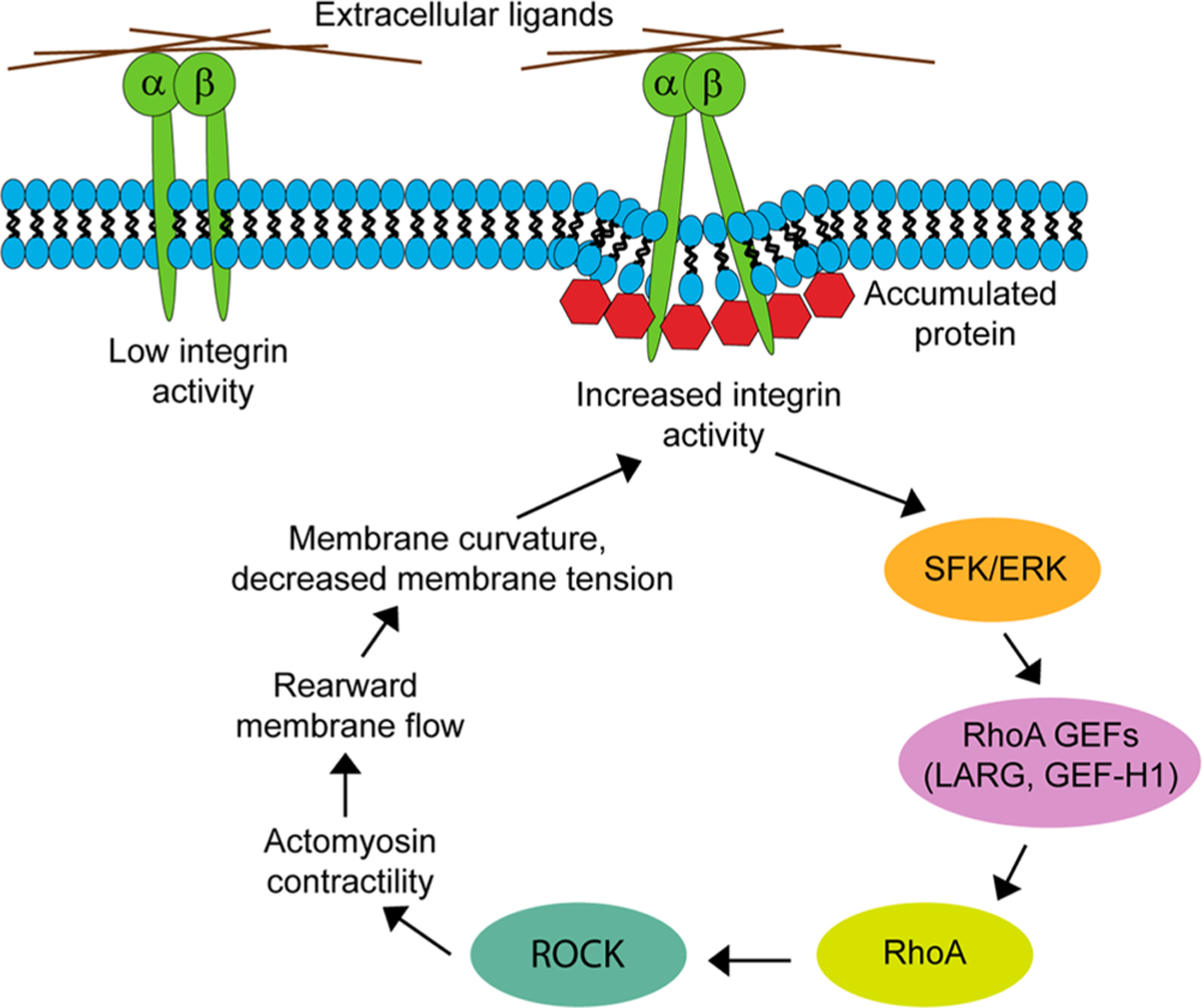 Figure 10.