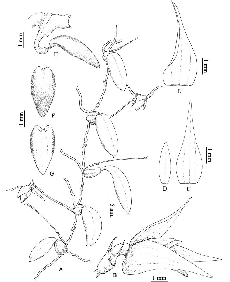 Fig. 16