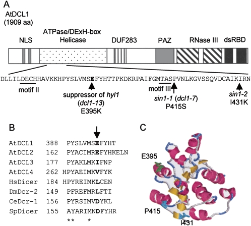 FIGURE 1.