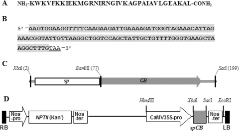 FIG. 1.