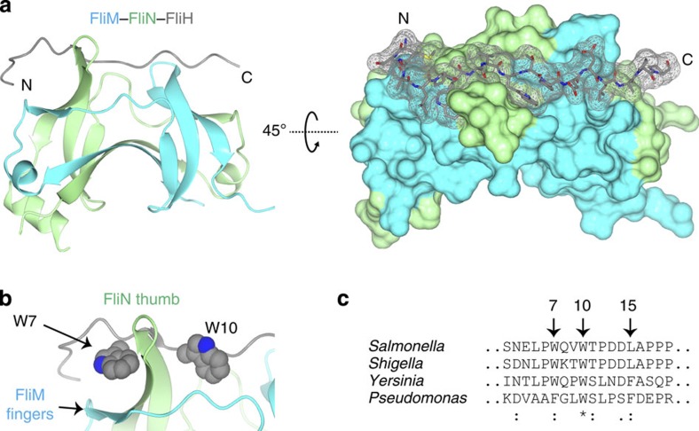 Figure 7