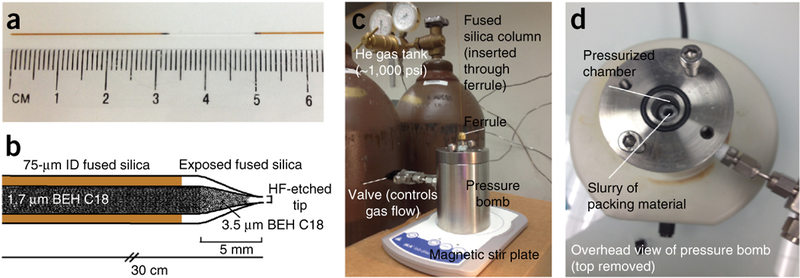 Figure 2|