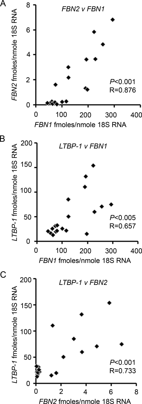 Figure 5