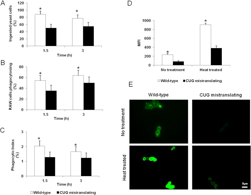 FIG 4 