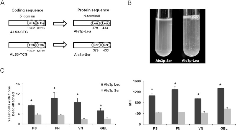 FIG 3 