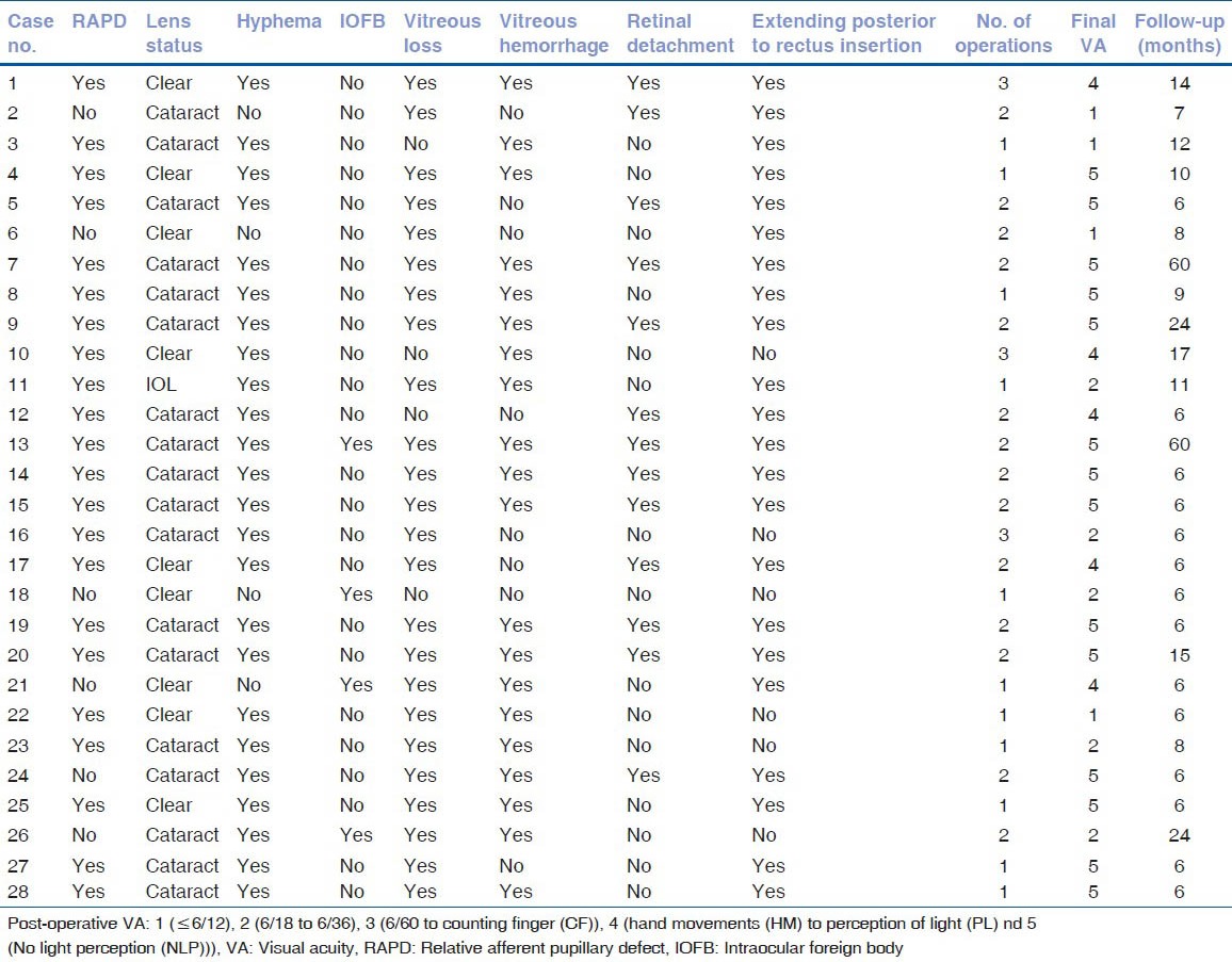 graphic file with name IJO-61-541-g003.jpg