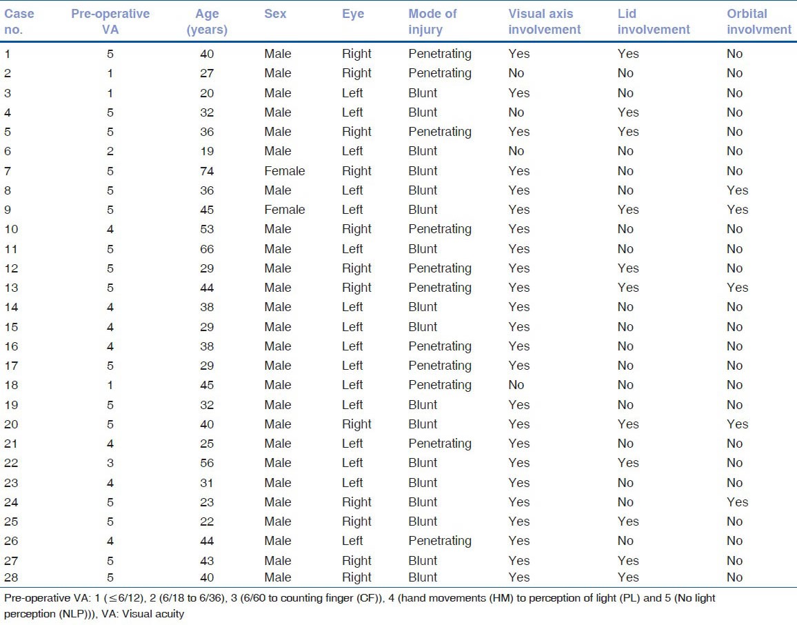 graphic file with name IJO-61-541-g002.jpg