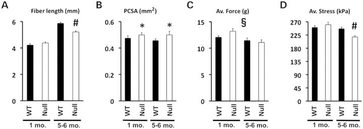 Figure 6.