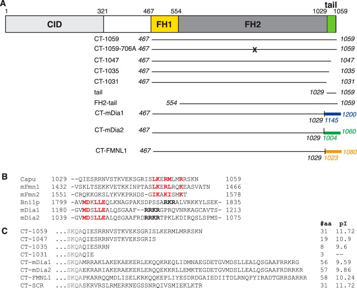 FIGURE 1.