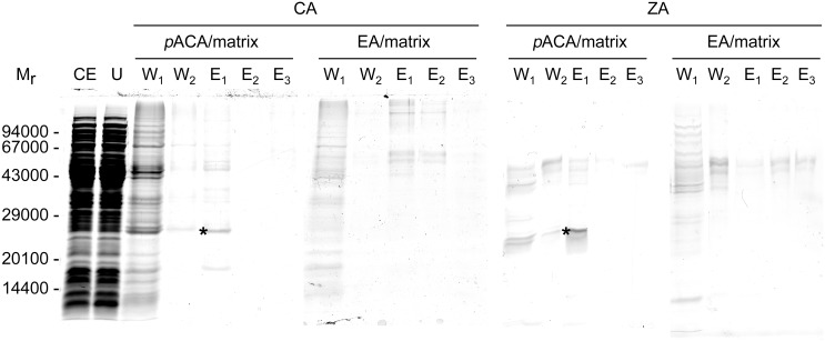 Fig 10