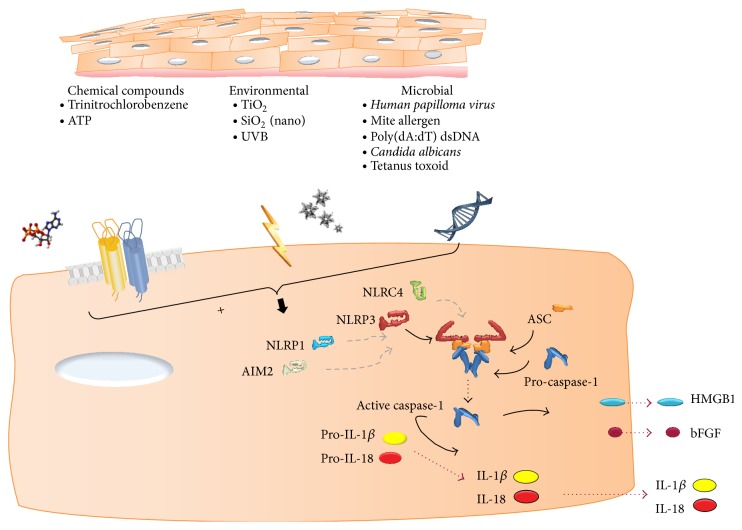 Figure 2