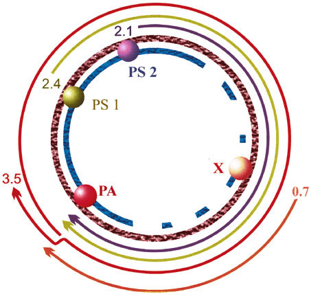 Fig. 3