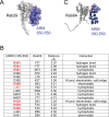 Figure 3—figure supplement 2.