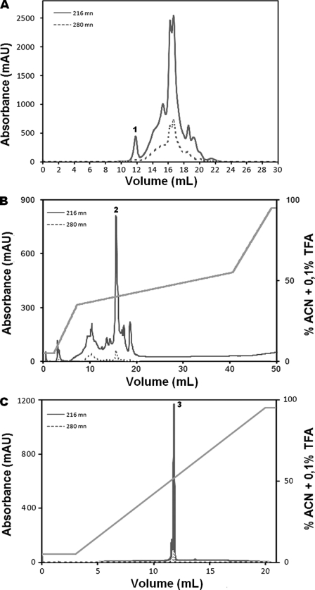 FIGURE 2.