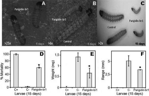 FIGURE 4.