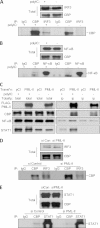 FIG 5