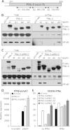 FIG 8