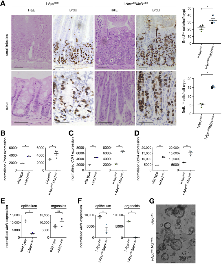 Figure 6