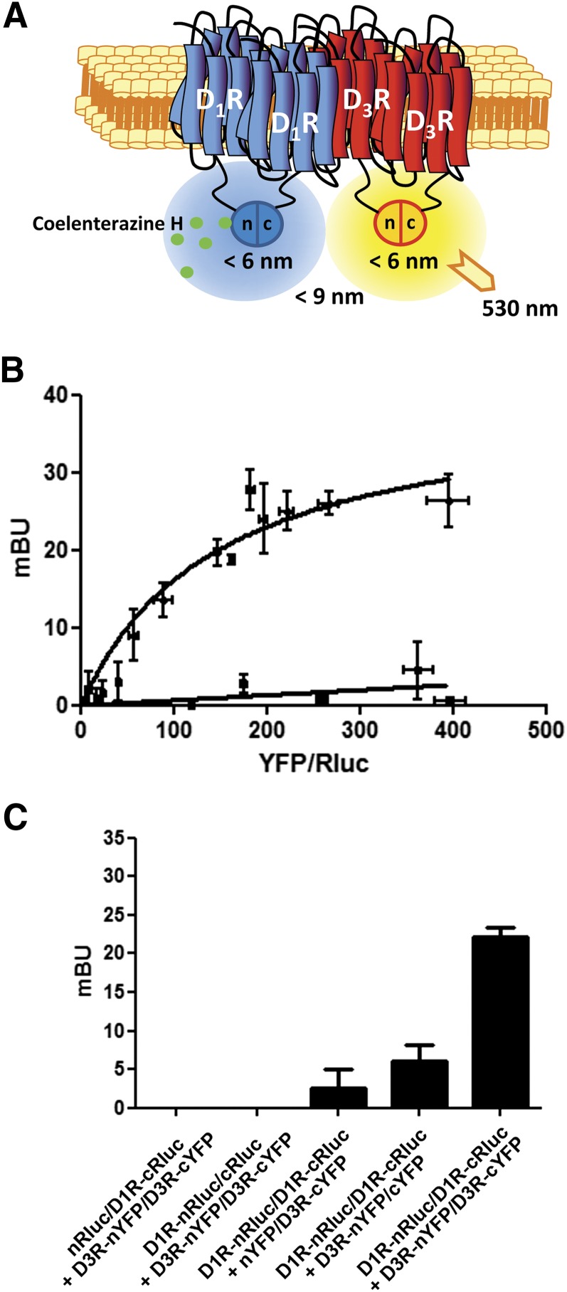 Fig. 2.