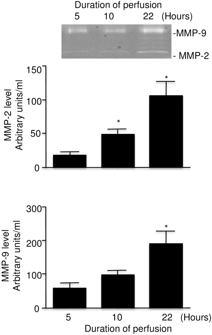 Fig 6