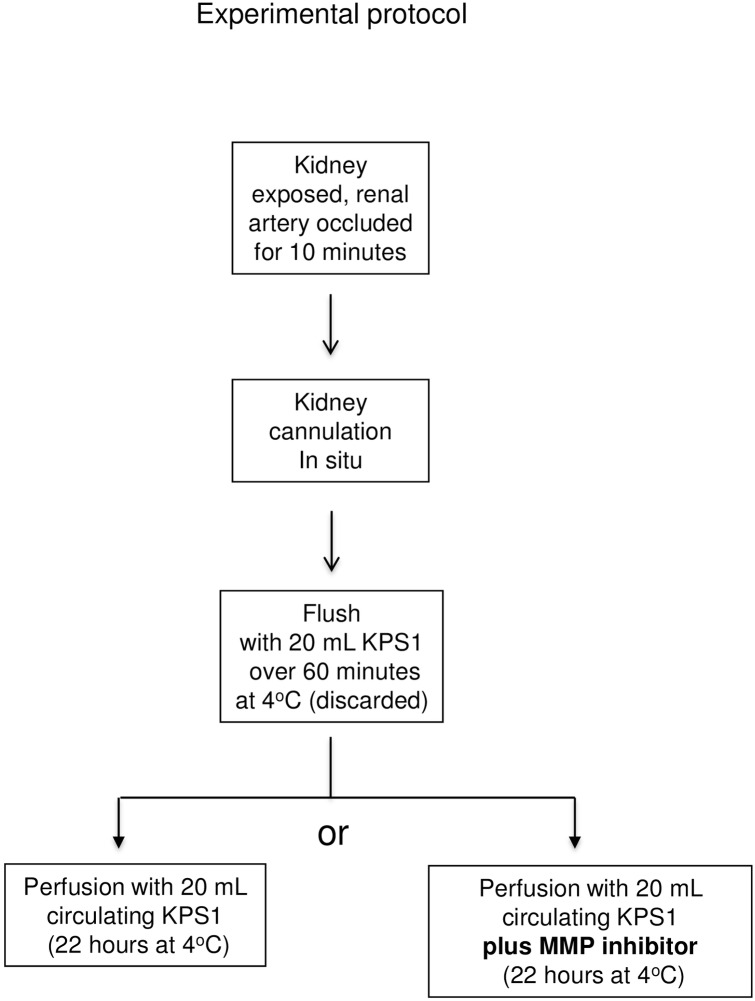 Fig 13