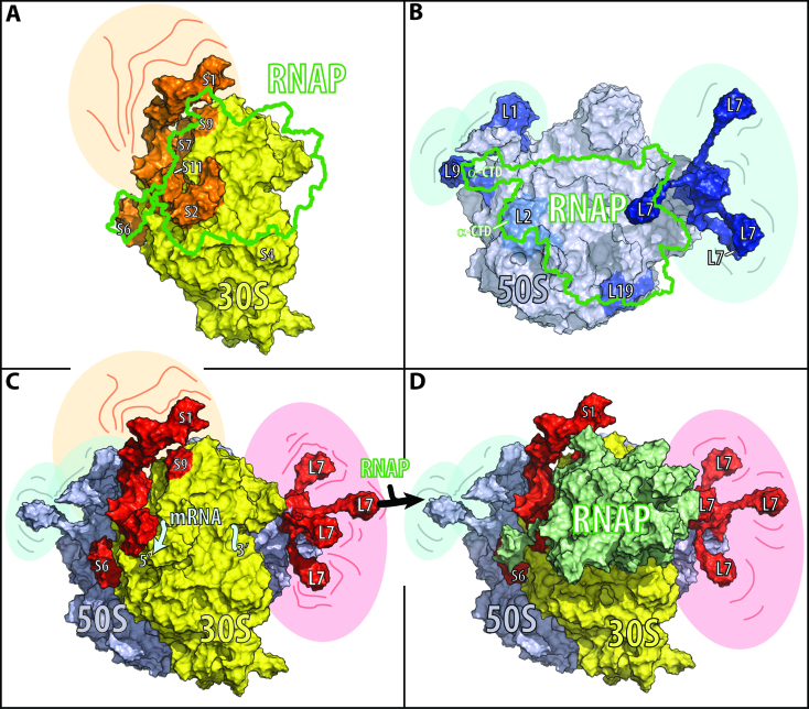 Figure 4.