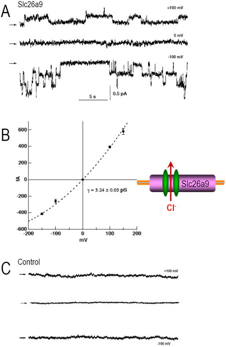 Fig 8