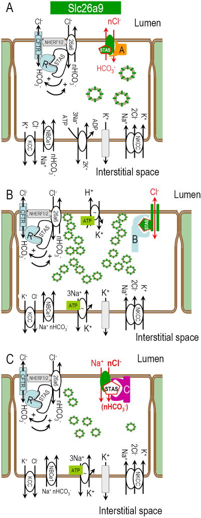 Fig 9