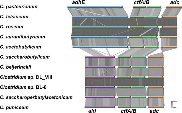 Fig. 6