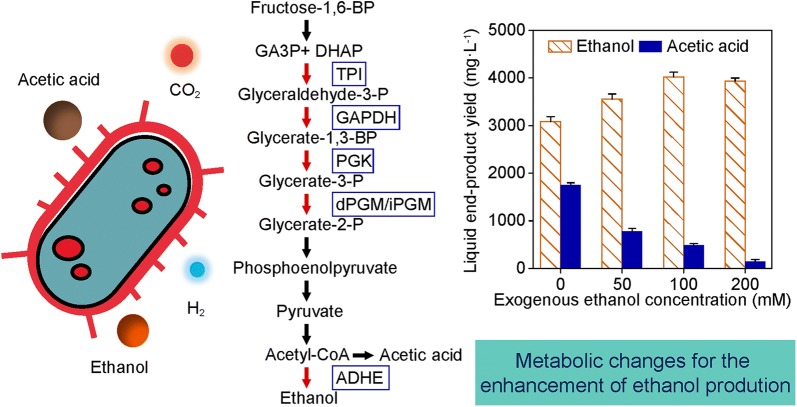 graphic file with name 13068_2019_1511_Figa_HTML.jpg