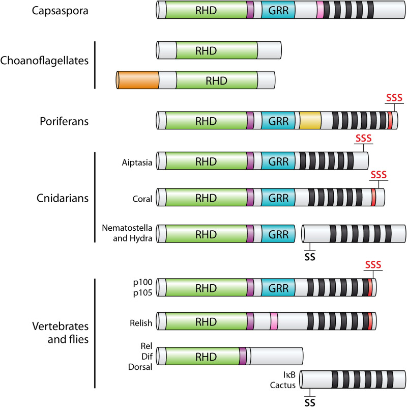 FIG 1