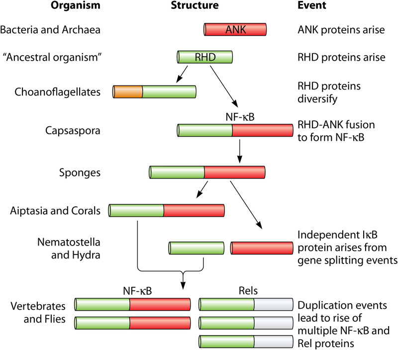 FIG 3