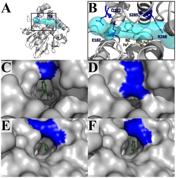 Figure 5