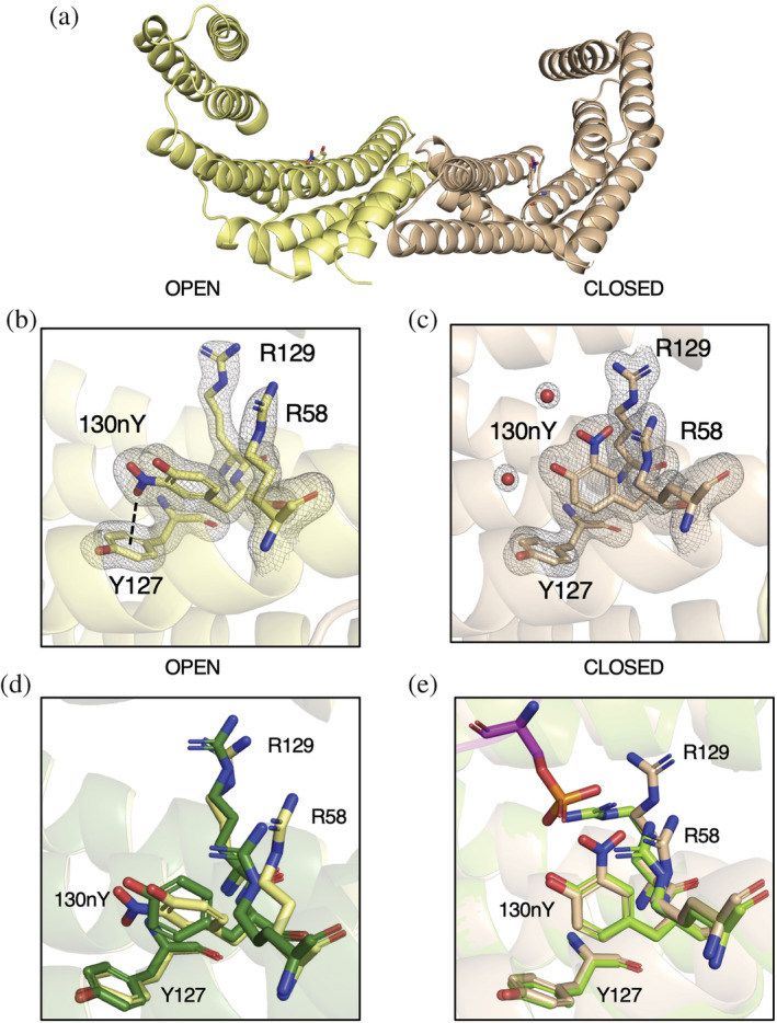 FIGURE 2