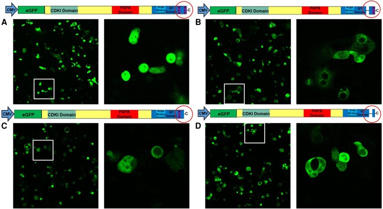 Figure 6.