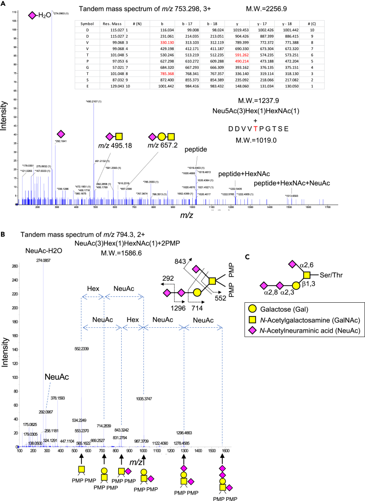 Figure 6