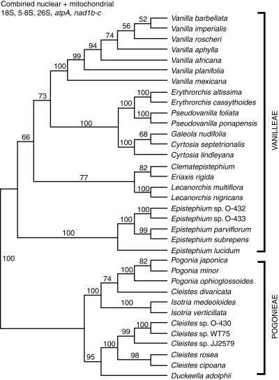 Fig. 5.