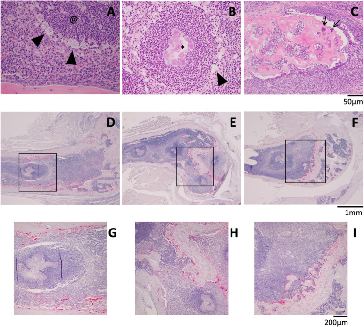 FIG 6