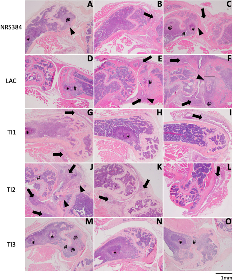 FIG 5