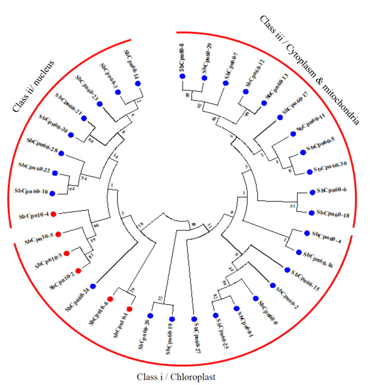 Fig. (4)