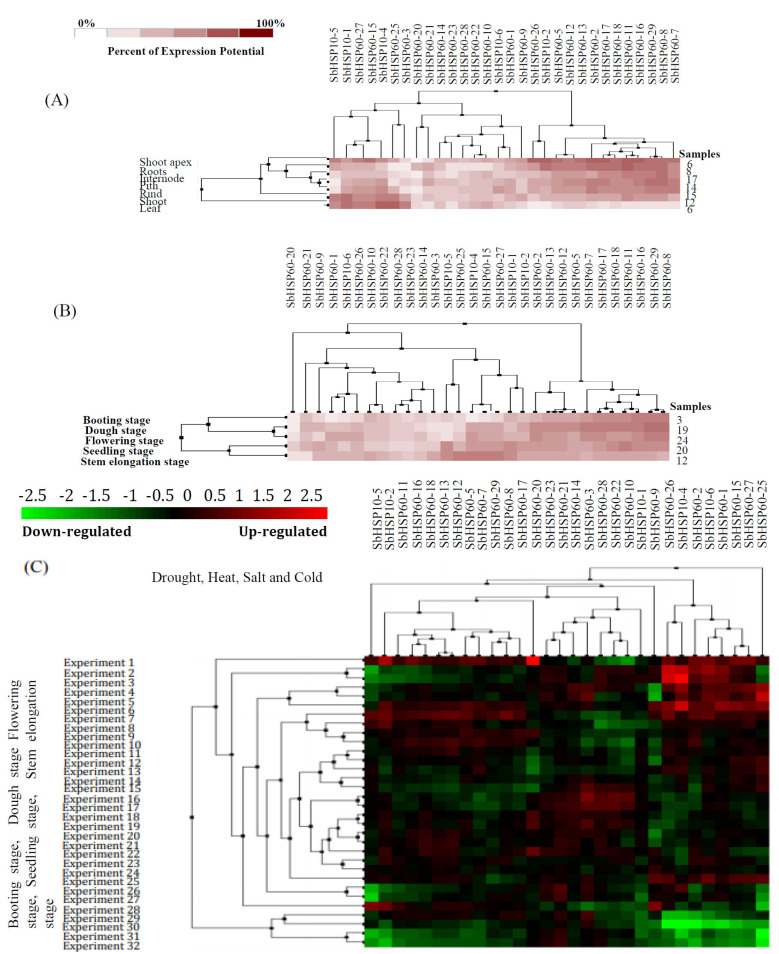 Fig. (6)